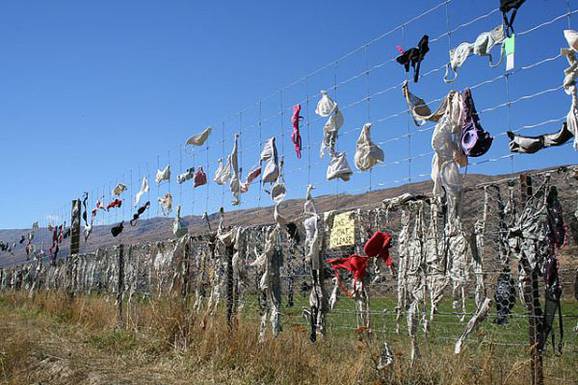 der erotischste Zaun der Welt 5