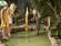Tropical Islands 9