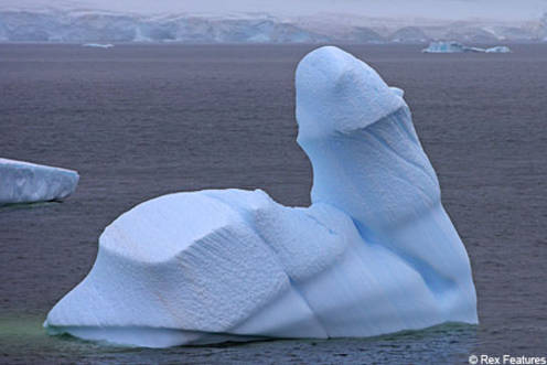 Das Foto des Riesenpenis aus Eis ist das Werk des Fotografen Andy Rouse.