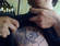 Brustwarzentattoo.