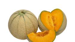Wie masturbiert man mit einer Melone?