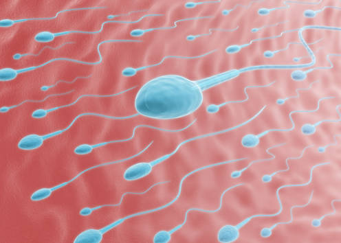 Sperma Antidepressivum