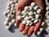 Aspirin schützt vor Bauchspeicheldrüsenkrebs